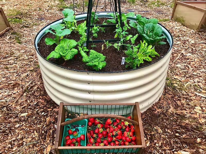 Raised Garden Bed - Round Ø1.7m x 0.5m H     (Fish Eagle White)