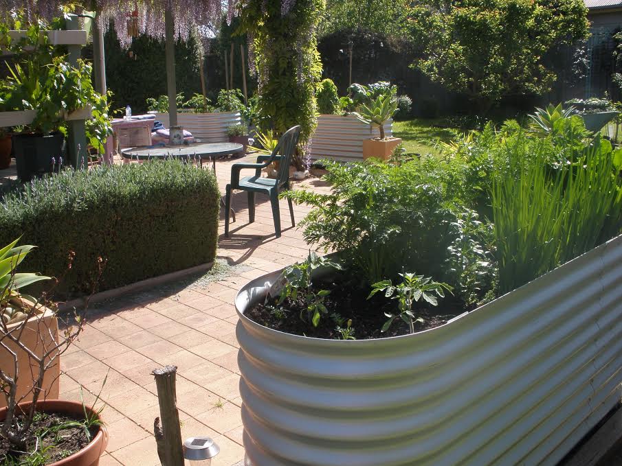 Raised Garden Bed - Slim 2.4l x 1.0w x 0.5h (Shell only with Base plate)